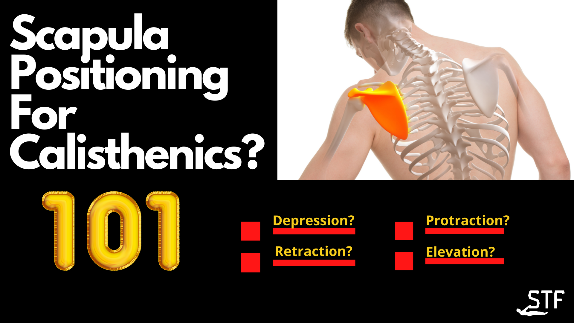 How To Never Plateau In Calisthenics Straight Talking Fitness